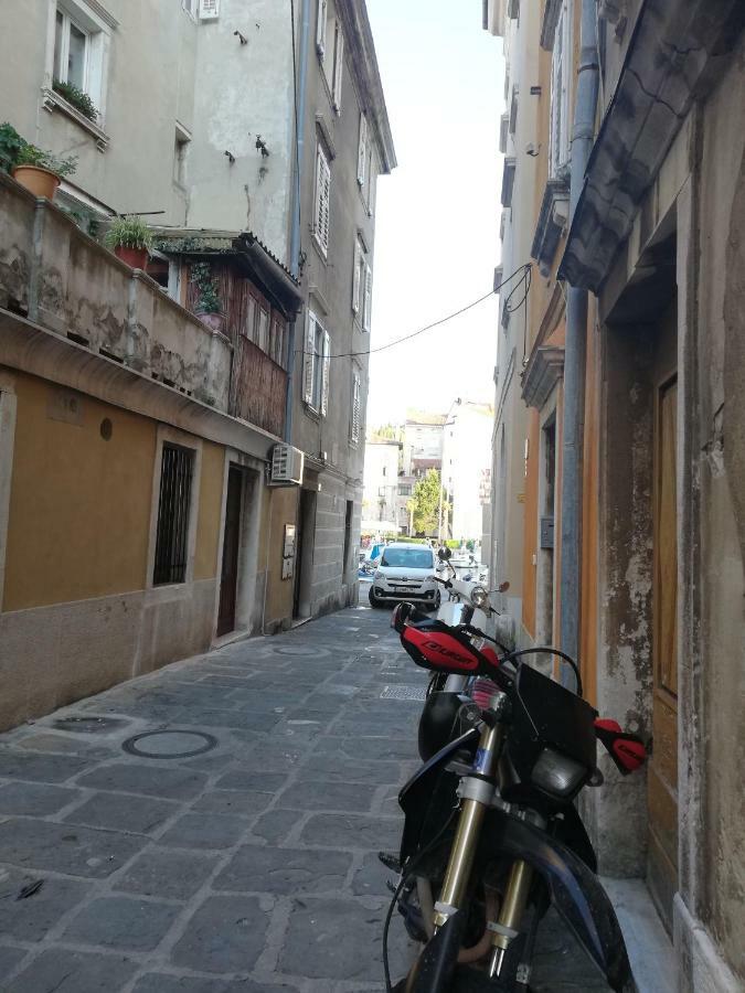 Ferienwohnung Nono Mario - Marin Piran Exterior foto